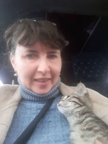 показы 1 354 72 договорная кошка даром британская короткошёрстная 1 год мальчик метис 2 позвонить написать: Кошка даром: Беспородная, 3 месяца, Девочка — 7