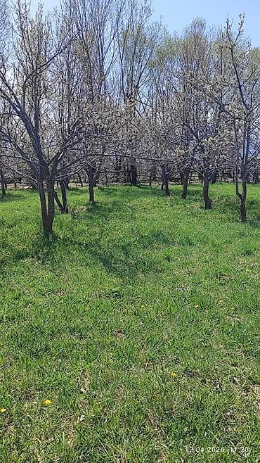 кызыл таш: 25 соток, Айыл чарба үчүн, Кызыл китеп — 6