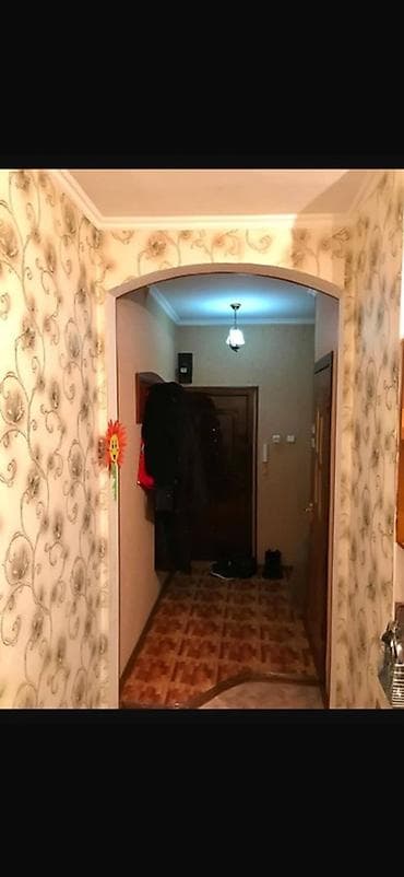 Батирлер: 1 бөлмө, Толугу менен эмереги бар — 4