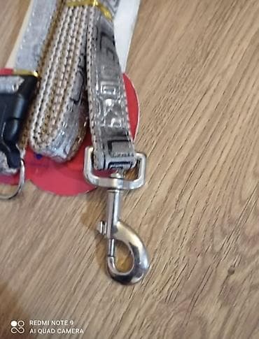 такса: Комплект с принтом поводок+ ошейник. Для средних и крупных собак — 4