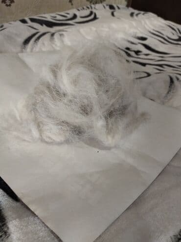 стульчик для кормления бу бишкек: Продаю,собачью шерсть 1кг.Порода(кавказец + Московская сторожевая) — 1