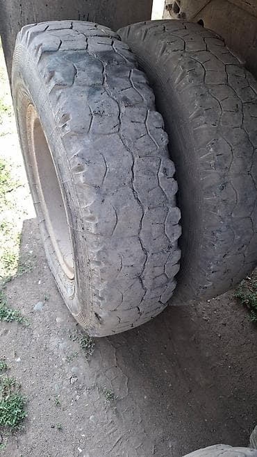 ремни 12: Шин диска — 2