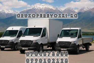 исанова чуйкова: Грузоперевозки Грузоперевозки Грузоперевозки Грузоперевозки — 1