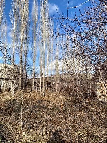 рынок ош: 16 соток, Для строительства, Красная книга — 3