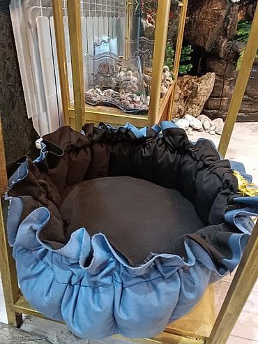 ратвелер шенки: 2 месяца, Самец, С прививкой — 6