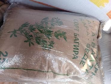 письменный стол бишкек с доставкой: Семена люцерны «АГРО НУР» Багира (Кара-Балта), сорт Межатинский - — 1