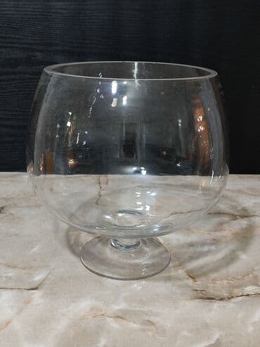 аквариумная рыбка: Прямоугольные — 15