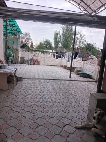 куплю дом село новопокровка: Үй, 120 кв. м, 5 бөлмө, Менчик ээси — 12