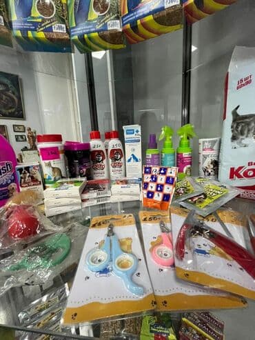 акустические системы vava колонка в виде собак: Корма, лотки, игрушки, клетки для кошек, собак, попугаев, хомячков и — 4