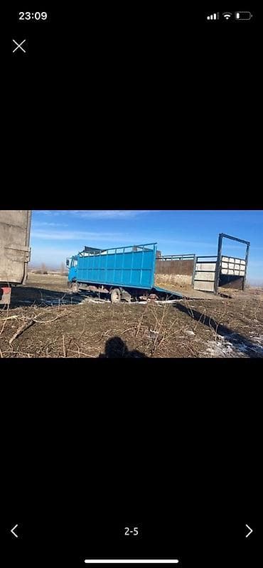 компьютер ипсум: Заказать Мерседес Гигант, Перевозка скота, C грузчиком — 5