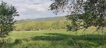 аренда квартир аламидин 1: 5 соток, Для строительства, Договор купли-продажи, Красная книга, Тех паспорт — 5