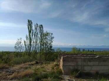 дом арча бешик аренда: 50 соток, Айыл чарба үчүн, Кызыл китеп, Техпаспорт, Сатып алуу-сатуу келишими — 14