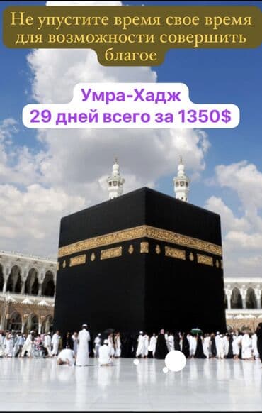 сколько стоит букет из бабочек: Умра/Хадж — паломнические туры в Мекку 29 дней билет всего за 1350 $ — 1