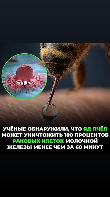 Апитерапия и иглорефлексотерапия Описание услуги: - Сеансы с
