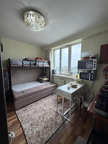 1010: 1 комната, 45 м², ул. Ахунбаева / Бакаева Элитка, 10 этаж, Свежий ремонт — 5