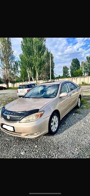 Toyota Camry: 2002 г., 2.4 л, Автомат, Газ, Седан