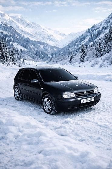 m3 e46: Volkswagen Golf: 2003 г., 1.6 л, Механика, Бензин, Хэтчбэк — 1