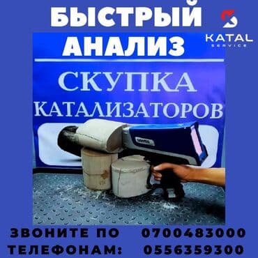 авто с последующим выкупом бишкек саната: Катализатор дорого котализатор котолизатор католизатор дорого анализ — 3
