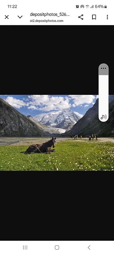 сухое молоко для животных: Конные прогулки по живописным горным долинам у подножия ледников. - — 1