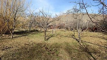 восток участок: 27 соток, Для сельского хозяйства, Красная книга — 4