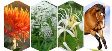 личный кабинет эрсаг кыргызстан: 🔥 Заживитель трещин . Шикарное средство — 5