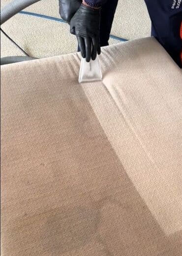 оборудование для стирки ковров: Стирка ковров, | Ковер, Бесплатная доставка — 3