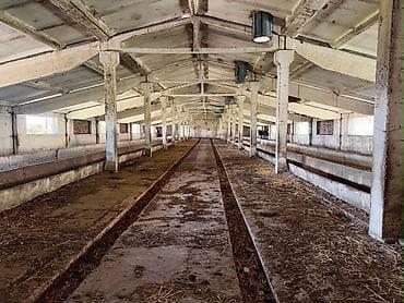 обмен домов: 📍 с. Кызыл-Туу 🔘1700м² ПРОДАЁТСЯ КОШАРА В КЫЗЫЛ-ТУУ 📍 с. Кызыл-Туу — 7