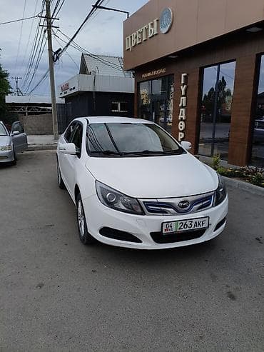 BYD E5: 2019 г., 0.1 - engine capacity л, Автомат, Электромобиль, Седан