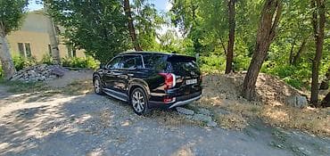 на шею подушка: Hyundai Palisade: 2019 г., 2.2 л, Автомат, Дизель, Кроссовер — 10