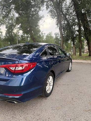 sonata 2012: Hyundai Sonata: 2016 г., Автомат, Седан — 7