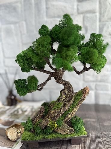 Другой декор и предметы интерьера: Миниатюрные ДЕРЕВЬЯ Бонсай из стабилизированного мха — это стильная — 7