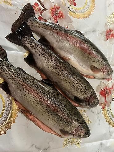 Форель радужная, потрошёная с головой. Описание: - Крупная тушка с