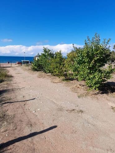 долгосрочные квартиры баялинова: Срочно продаю действующий бизнес на южном берегу Иссык-Куля — 6