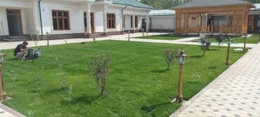 чистка аквариума цена: Газон и Автополив жасайбыз баасы келишим турдо болот! — 6
