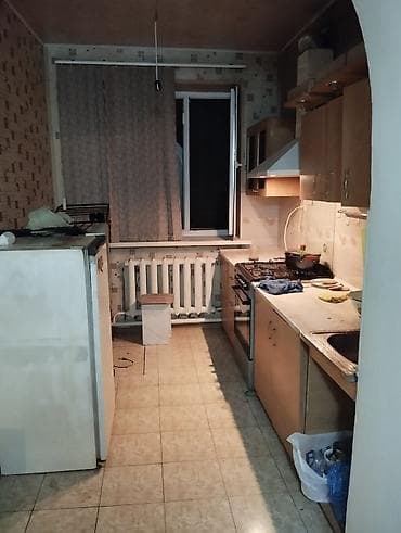 flat rent: 2 комнаты — 5