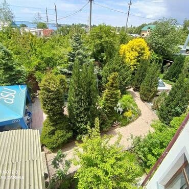 невропатолог на дом: Номер, Чолпон-Ата, Детская площадка, Парковка, стоянка, Баскетбольная площадка — 4