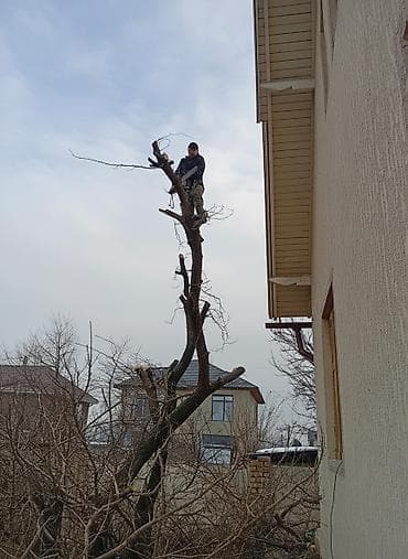 forester 2003: Пильшик #1
 любой сложности 
аккуратность опыт профессионализм — 1