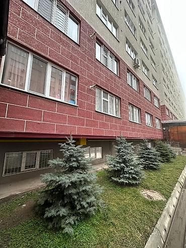 osh flats: 1 комната, 91 м², Индивидуалка, Цокольный этаж этаж, Косметический ремонт — 3