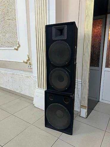 Динамиктер жана музыкалык борборлор: Концерттик, Күчөткүчсүз, Туташтыргыч: XLR, Эквалайзер менен — 3