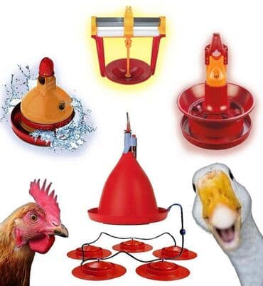 сельскохозяйственные животные продажа: Кормушки и Поилки Оптом и в Розницу для Кур и других Птиц . В нашем — 4