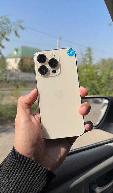 IPhone 14 Pro, 256 ГБ, Золотой