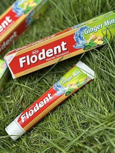 щётка для снега: Зубная паста Flodent (фторсодержащая), ассортимент вкусов и формул: - — 2