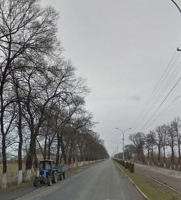 в комсомольском: 1000 соток, Для бизнеса, Красная книга — 4