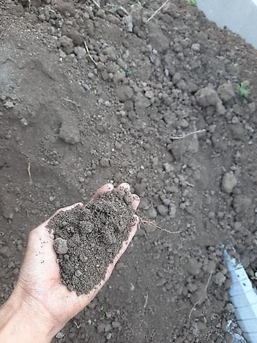 чернозем для цветов: В тоннах, Бесплатная доставка, Камаз — 3