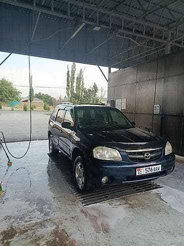 Mazda Tribute: 2003 г., 2 л, Механика, Газ, Кроссовер