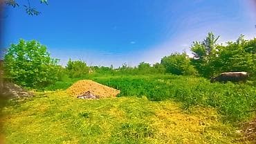 Продаётся жилой частный дом с большим приусадебным участком. Описание