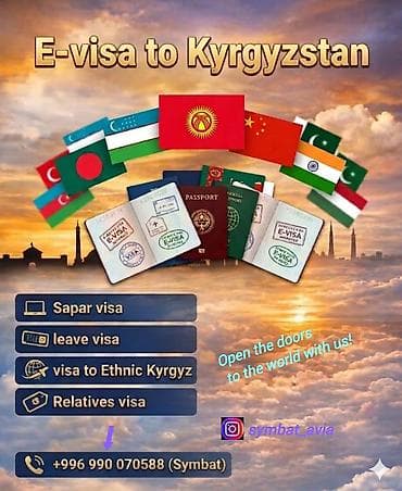 ds 160: Оформление e‑визы в Кыргызстан для граждан Узбекистана — Blue Sky — 4