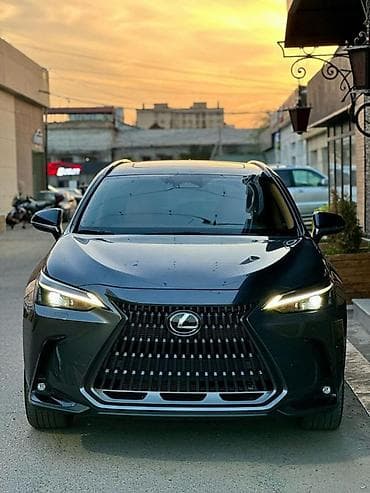 lexsus 330: Lexus NX: 2022 г., Гибрид, Кроссовер — 1
