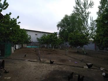 дом село джал: Срочно продается помещение под бизнес вдоль дороги 2- х уровней — 5