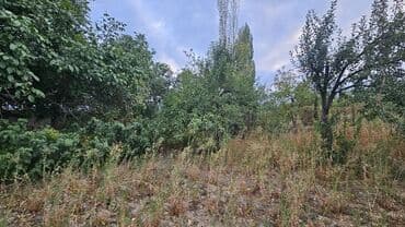 дом шопокове: 25 соток, Красная книга — 15